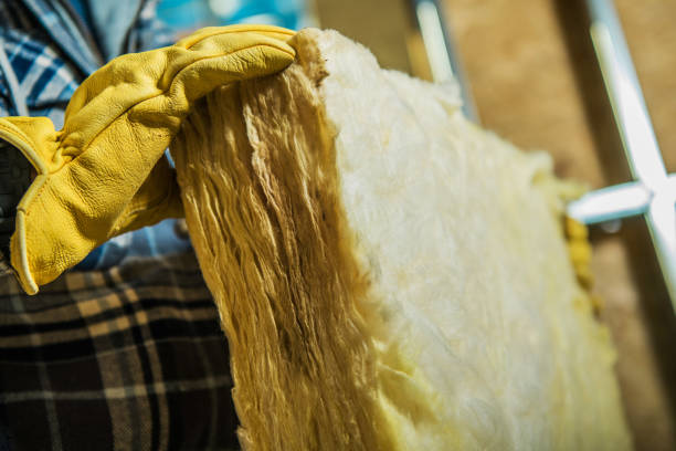 Best Residential Insulation Services  in Somers, MT
