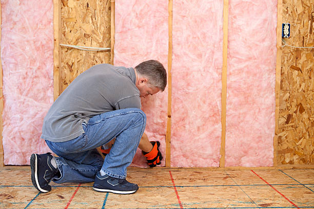 Best Best Insulation Companies  in Somers, MT