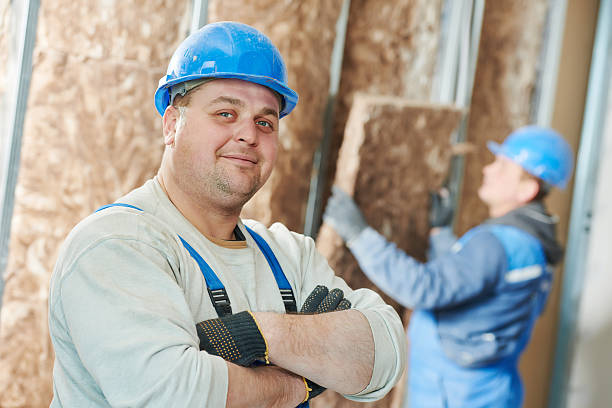 Best Insulation Removal  in Somers, MT